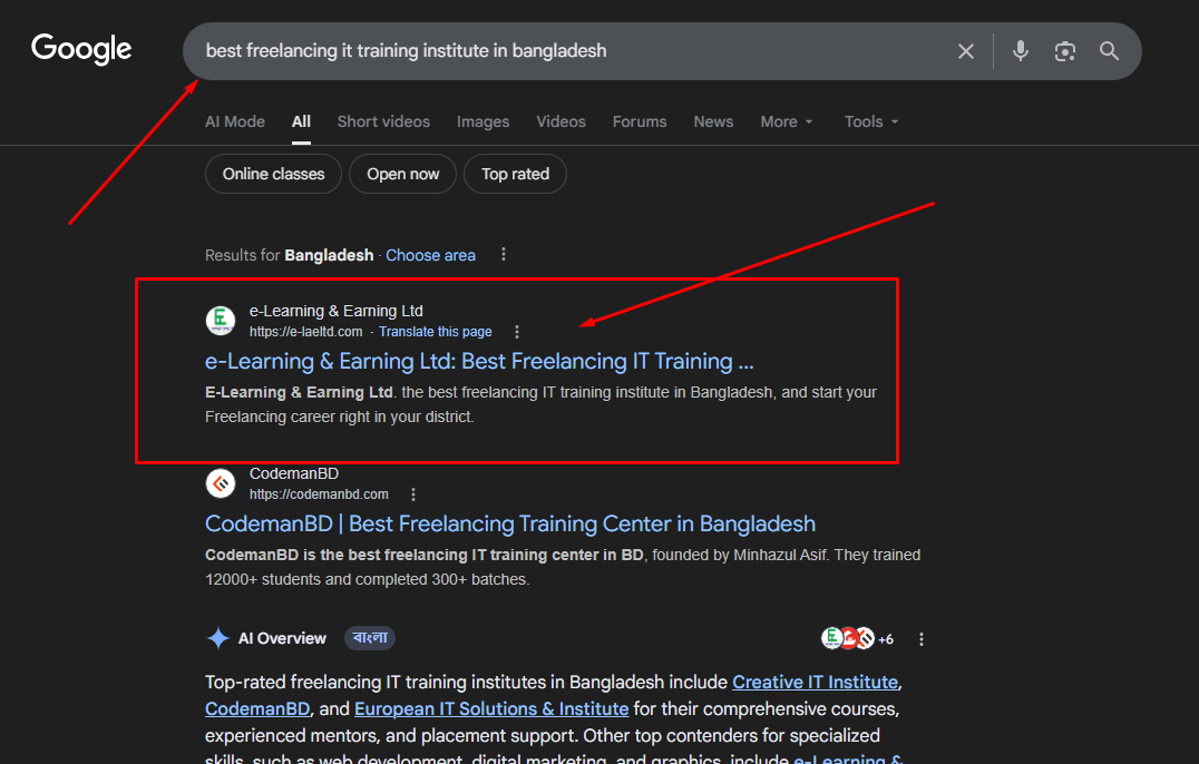SEO Performance Case Study