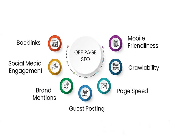 Local SEO Service for Small Business